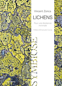 Picture of Lichens