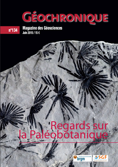 Picture of Regards sur la Paléobotanique