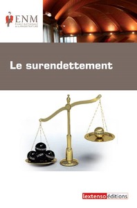 Picture of le surendettement
