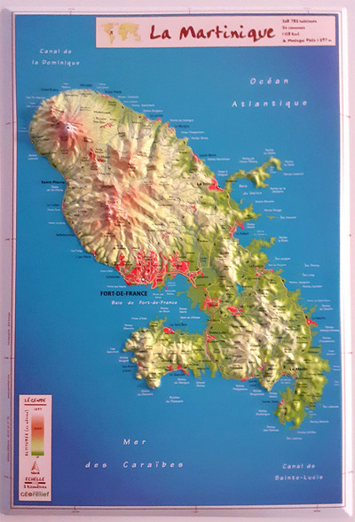 Picture of LA MARTINIQUE 21 X 31 CM