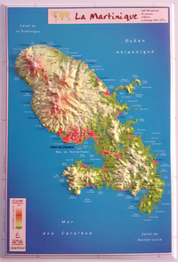 Picture of LA MARTINIQUE 21 X 31 CM