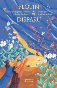 Image de Plotin a disparu