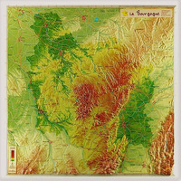 Image de BOURGOGNE 42 X 42 CM