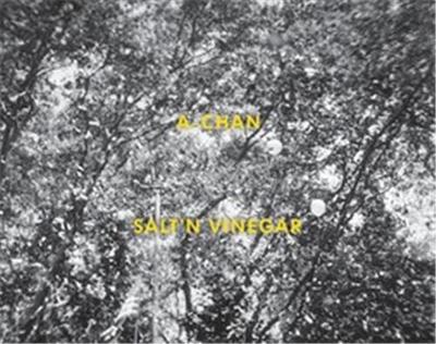 Image de A-Chan Salt'n Vinegar /anglais