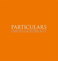 Image de David Goldblatt Particulars /anglais
