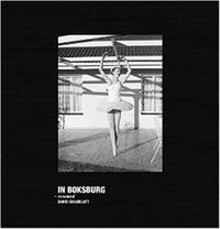 Image de David Goldblatt In Boksburg /anglais