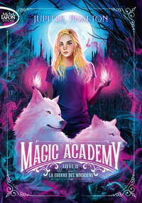 Image de Magic Academy - Tome 9