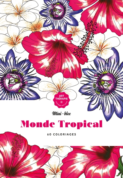 Image de Les minis-blocs d'Art-thérapie Monde tropical