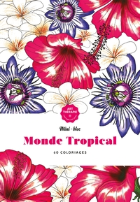 Image de Les minis-blocs d'Art-thérapie Monde tropical