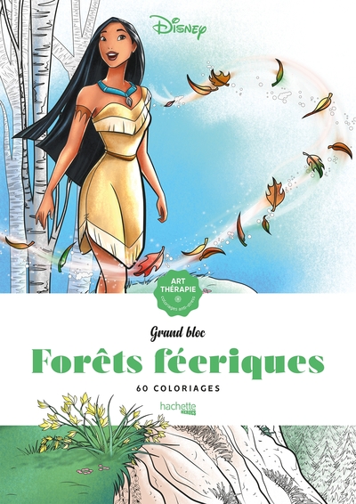 Image de Les grands blocs Disney Forêts féeriques