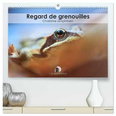 Picture of Regard de Grenouilles - Charisme amphibien  (Calendrier mural 2025 DIN A2 vertical) calendrier de bureau