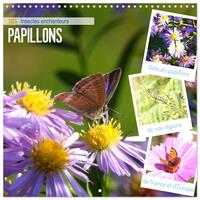 Picture of Délicats Papillons de nos régions, de France et d'Europe (Calendrier mural carré 2026 30x30 cm) Calendrier double avec une page pour vos prises de notes