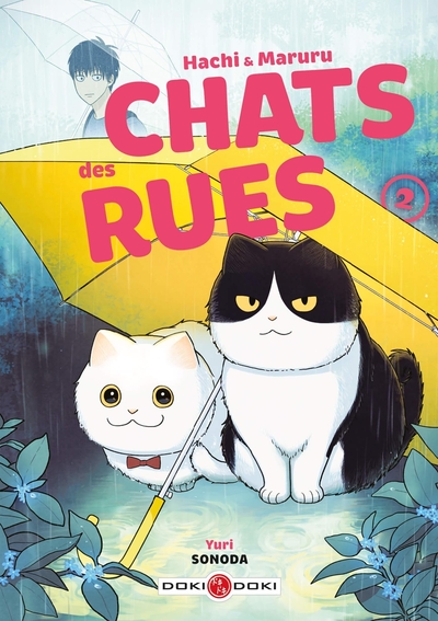 Image de Hachi & Maruru - Chats des rues - vol. 02