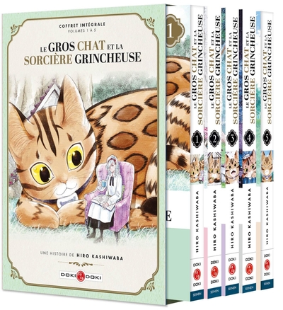 Image de Le Gros Chat et la Sorcière grincheuse - coffret vol. 01 à vol.05