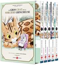 Image de Le Gros Chat et la Sorcière grincheuse - coffret vol. 01 à vol.05