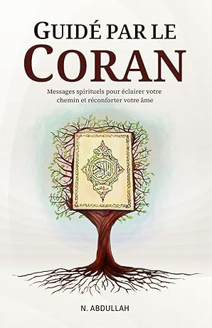 Image de Guidé par le coran