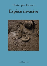 Picture of Espèce invasive