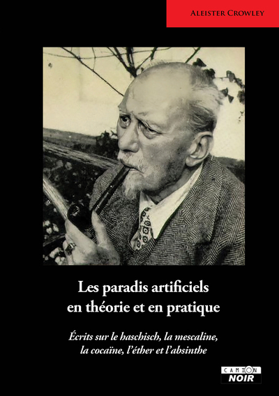 Image de Les paradis artificiels en théorie et en pratique