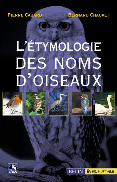 Image de L'étymologie des noms d'oiseaux