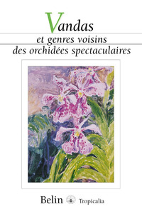 Image de Vandas et genres voisins des orchidées spectaculaires