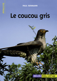 Picture of Le coucou gris