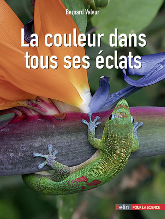 Image de La couleur dans tous ses éclats