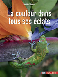 Image de La couleur dans tous ses éclats
