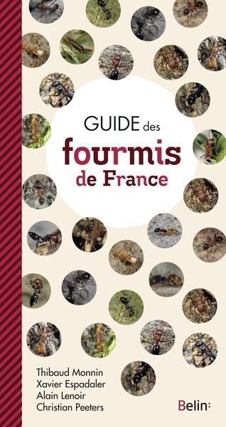 Picture of Guide des Fourmis de France