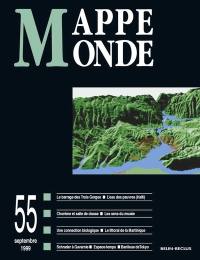 Picture of Mappemonde 55