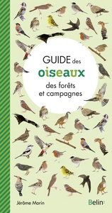 Image de Guide des oiseaux des forêts et campagnes