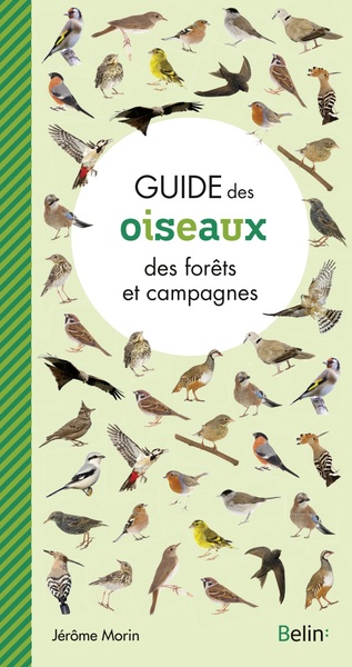Picture of Guide des oiseaux des forêts et campagnes
