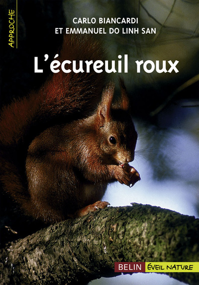 Picture of L'écureuil roux