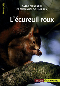Picture of L'écureuil roux