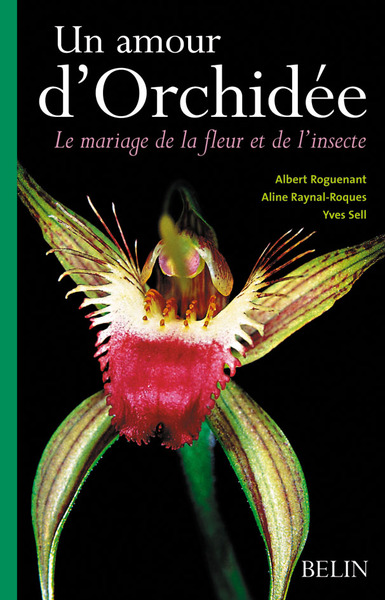 Picture of Un amour d'Orchidée