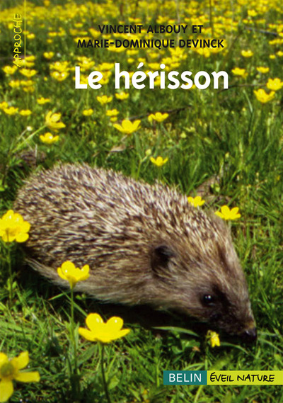 Picture of Le hérisson