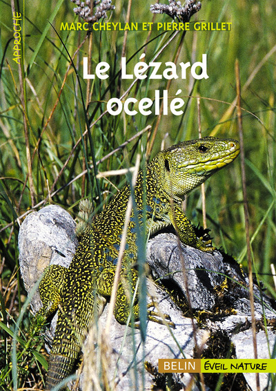 Picture of Le Lézard ocellé