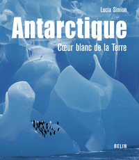 Picture of Antarctique