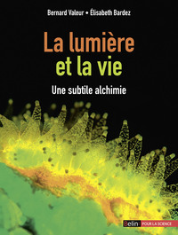 Picture of La lumière et la vie