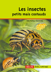 Picture of Les insectes