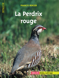 Picture of La Perdrix rouge