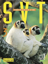 Picture of SVT 3e