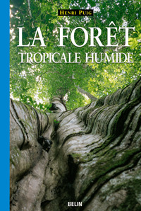 Picture of La forêt tropicale humide