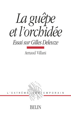 Image de La guêpe et l'orchidée