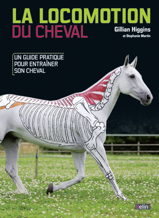 Image de La locomotion du cheval