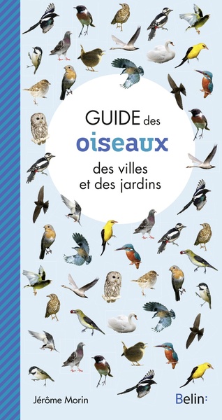 Picture of Guide des oiseaux des villes et des jardins