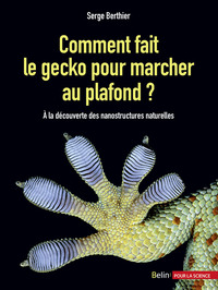 Image de Comment fait le gecko pour marcher au plafond ?