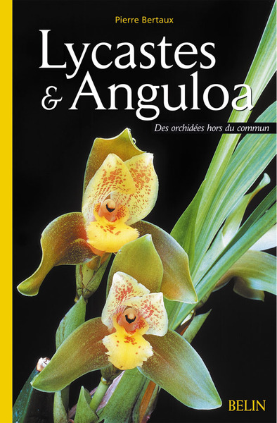 Image de Lycastes & Anguloa