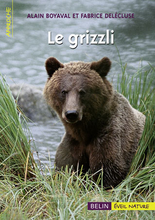 Picture of Le grizzli
