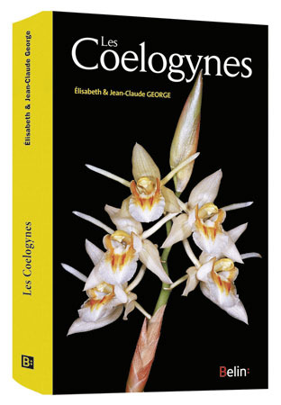 Picture of Les coelogynes