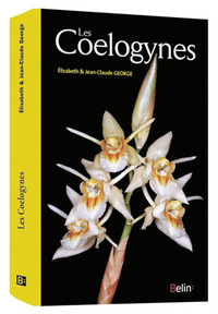 Picture of Les coelogynes